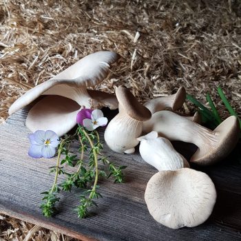 4597ecf7-775b-4693-97b5-dd40746cbbfe