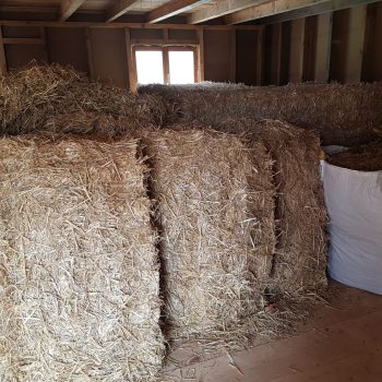 WhatsApp Image 2025-10-21 at 12.06.07 (5)